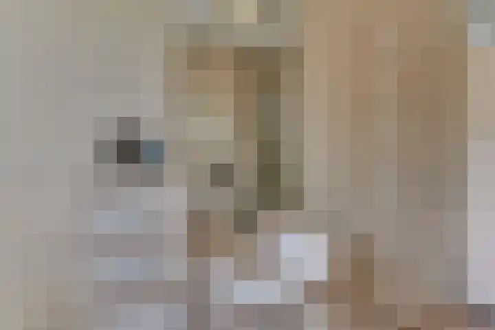 De Driesten 3 Ermelo thumbnail 32