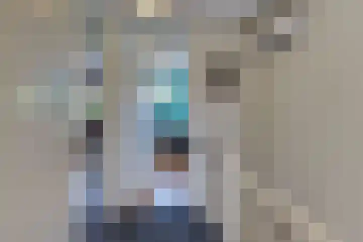 De Driesten 3 Ermelo thumbnail 33