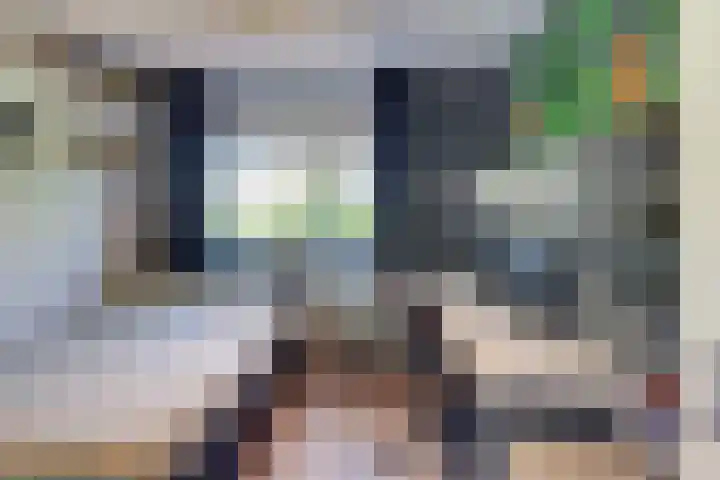 De Driesten 3 Ermelo thumbnail 36