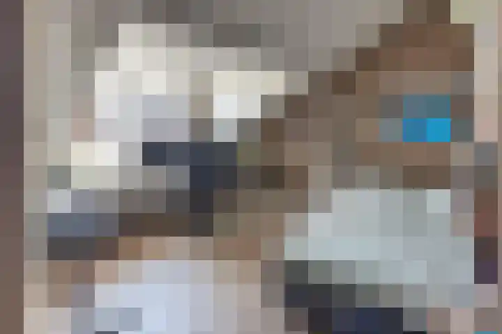 De Driesten 3 Ermelo thumbnail 42