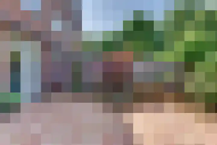 De Driesten 3 Ermelo thumbnail 53