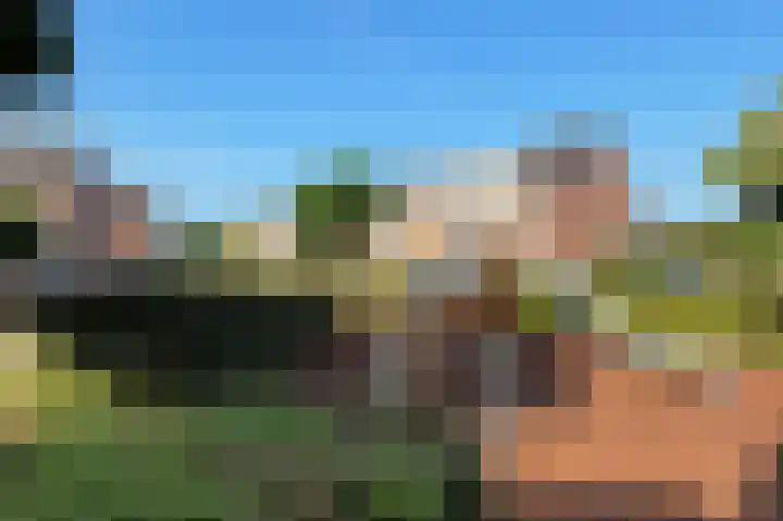 De Driesten 3 Ermelo thumbnail 62
