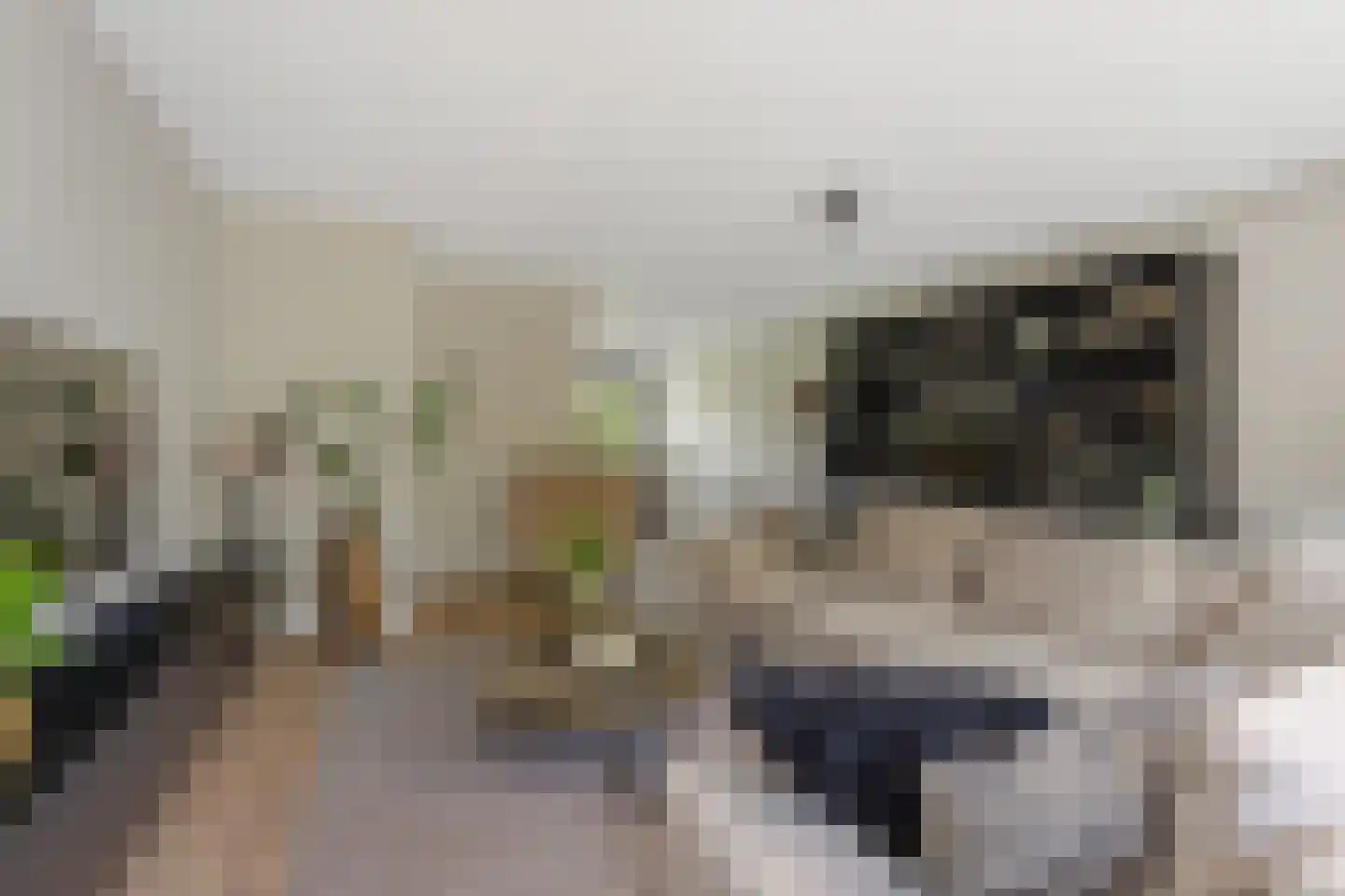 De Driesten 4 Ermelo thumbnail 10