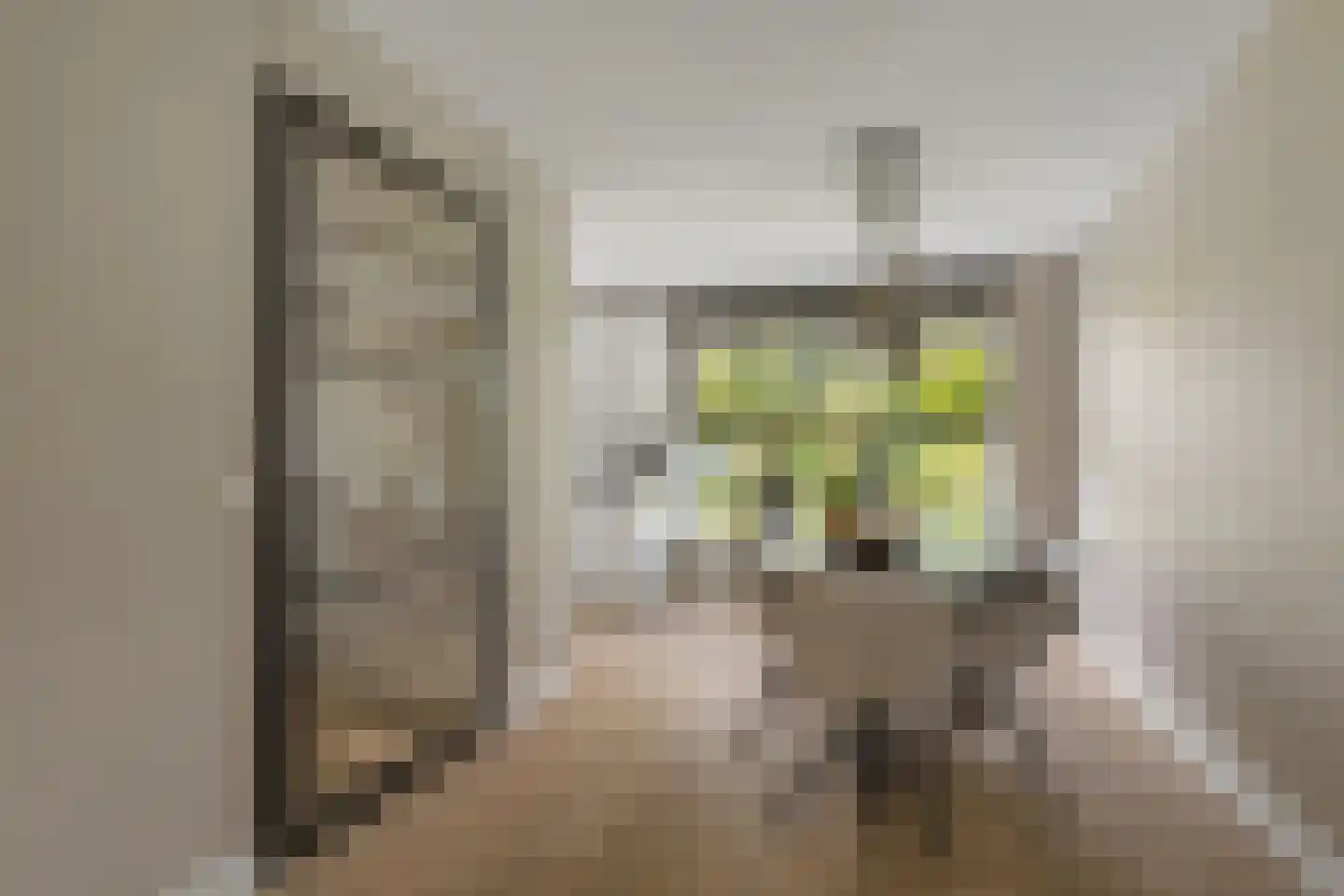 De Driesten 4 Ermelo thumbnail 12