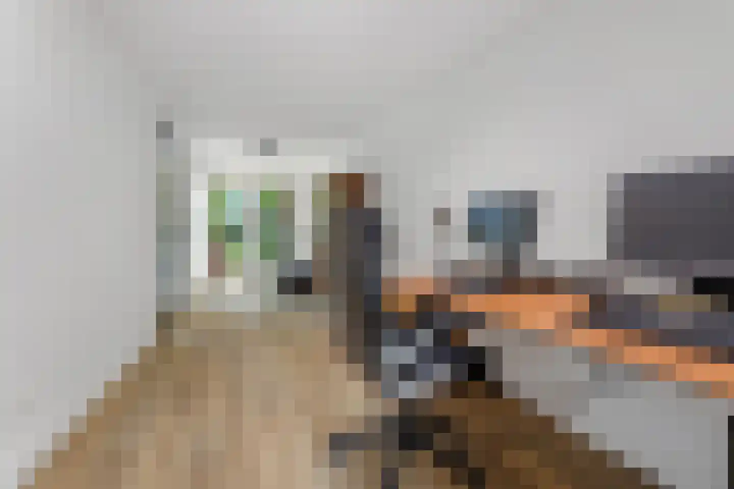 De Driesten 4 Ermelo thumbnail 15