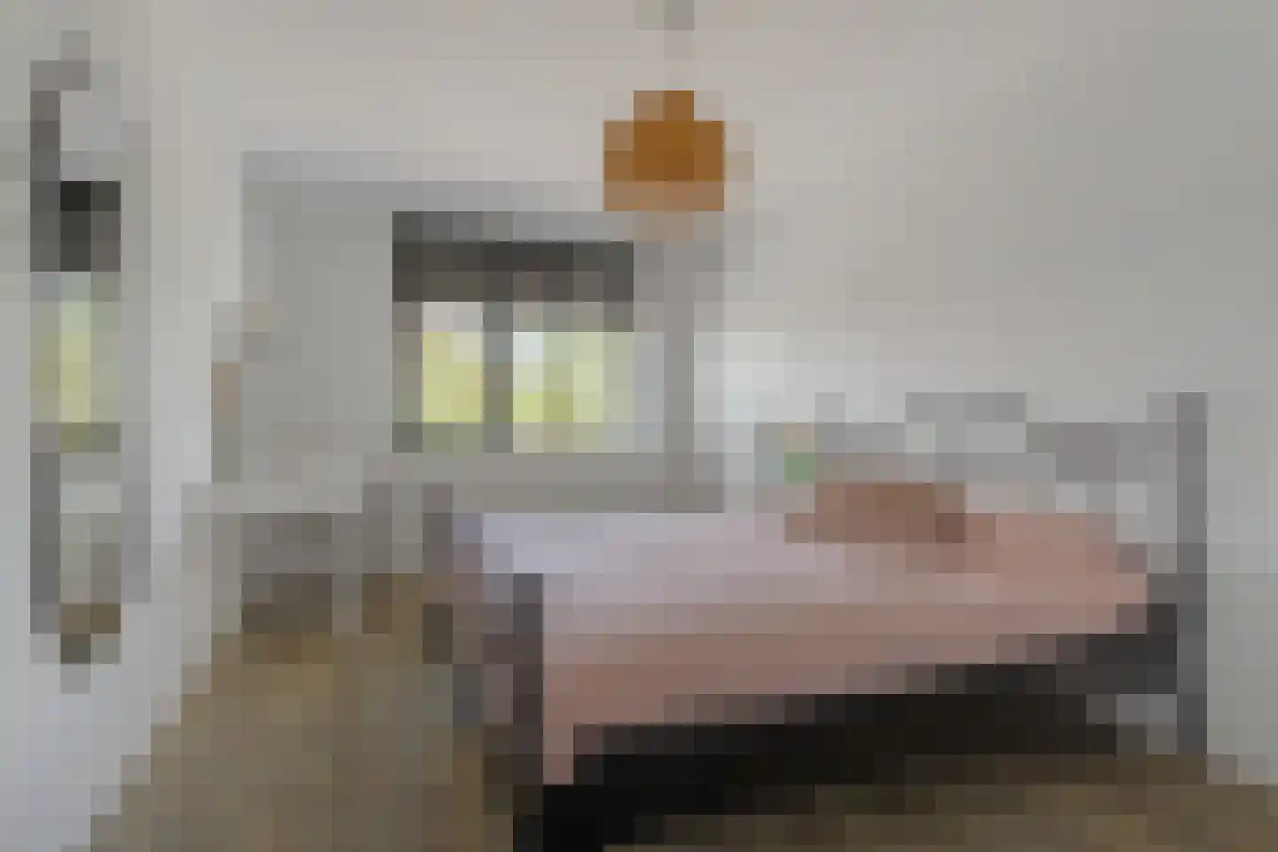 De Driesten 4 Ermelo thumbnail 20