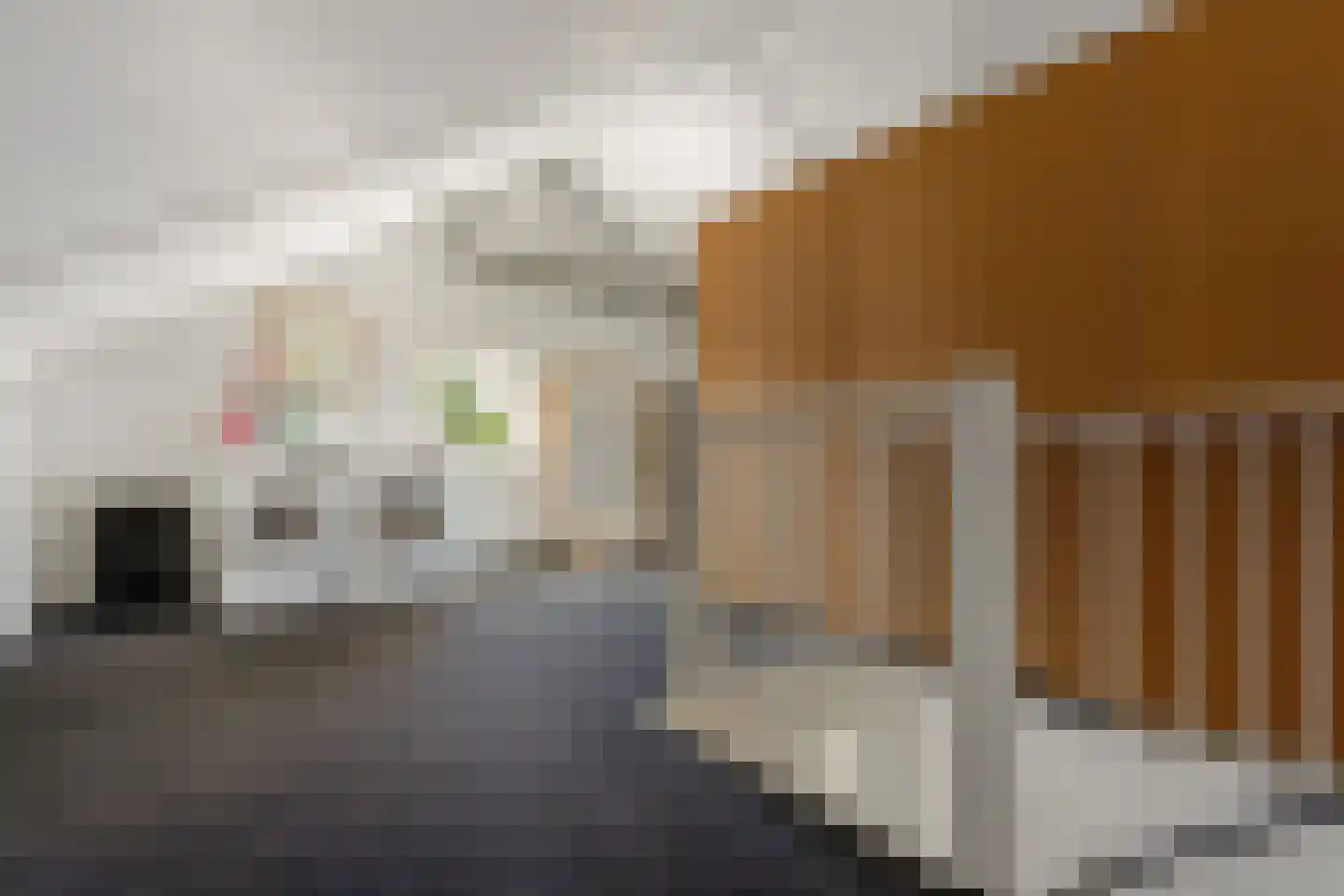 De Driesten 4 Ermelo thumbnail 24