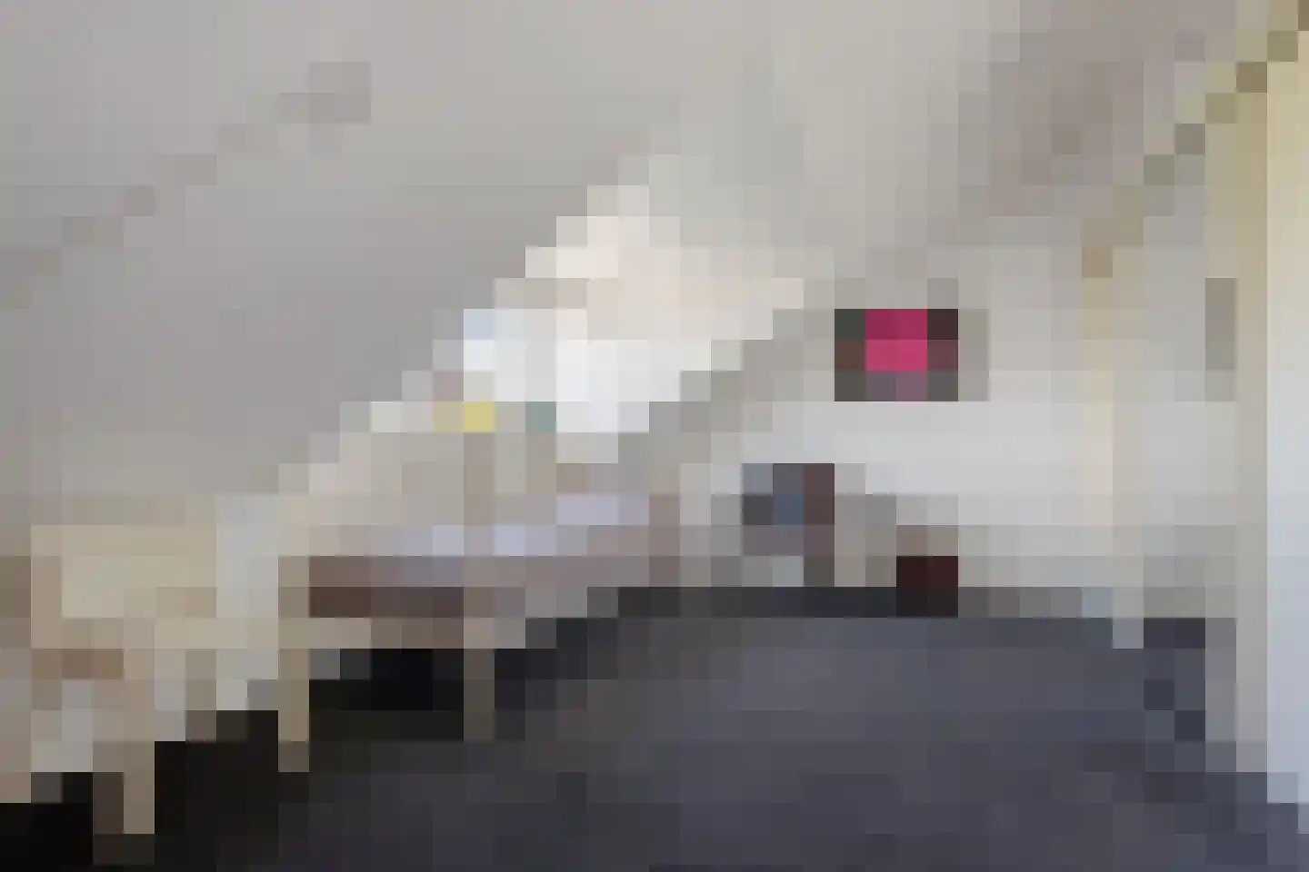 De Driesten 4 Ermelo thumbnail 26