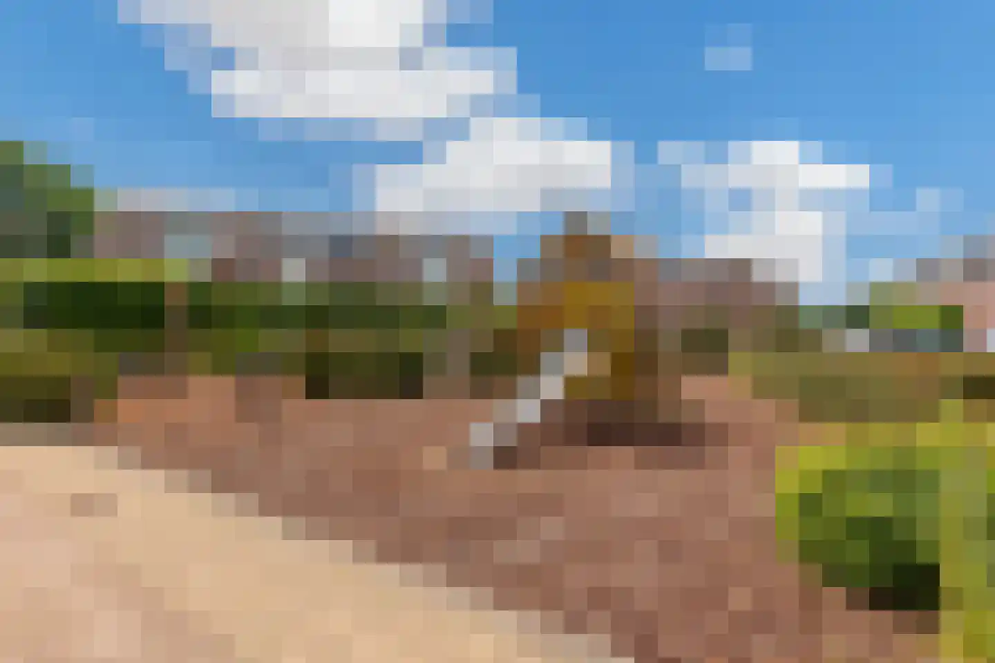 De Driesten 4 Ermelo thumbnail 33