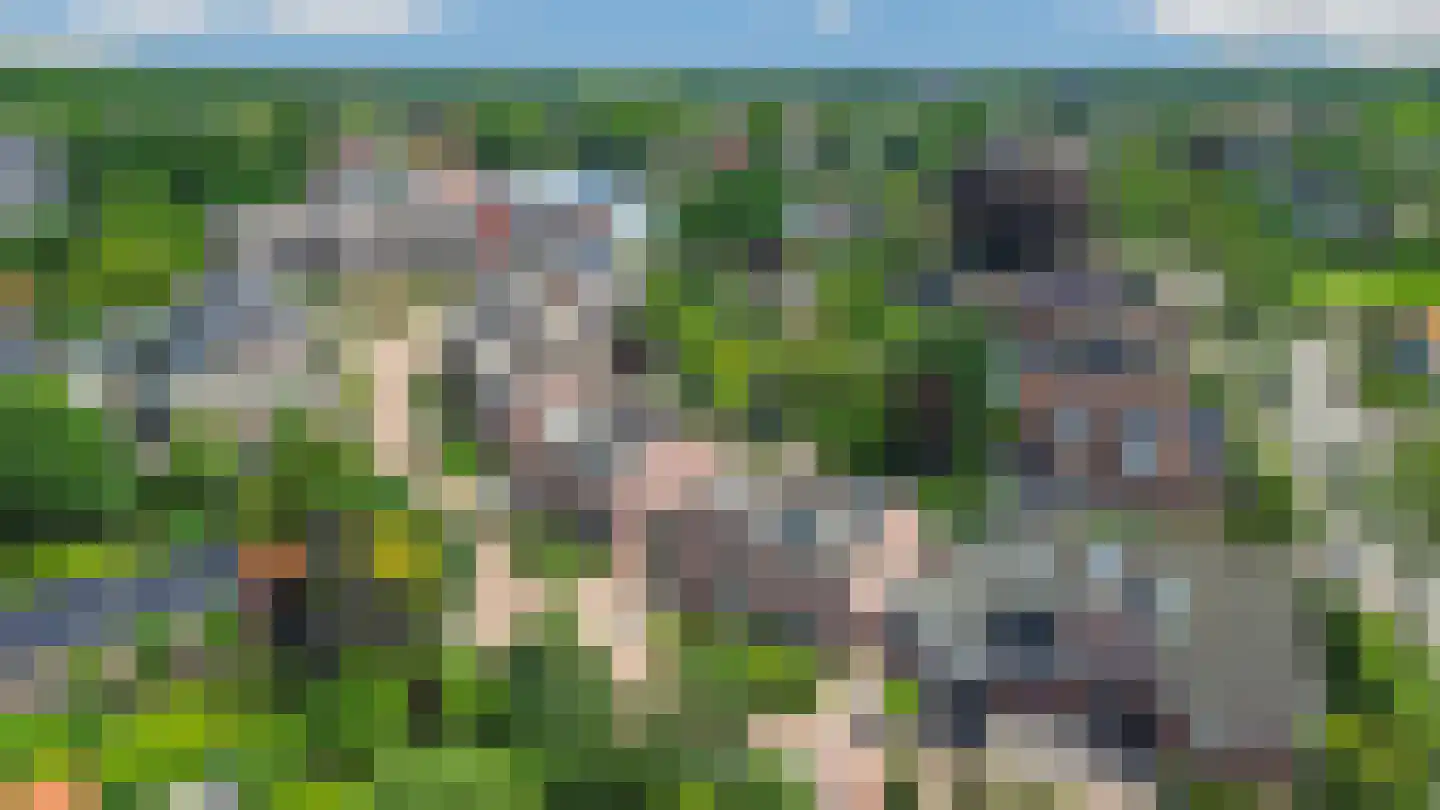 De Driesten 4 Ermelo thumbnail 35