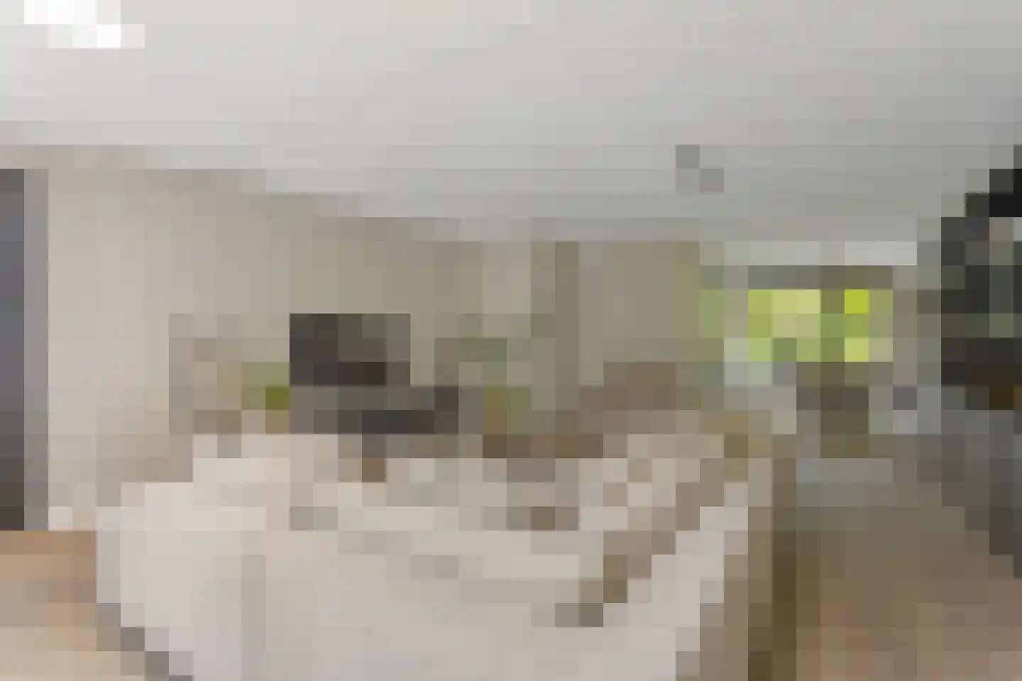 De Driesten 4 Ermelo thumbnail 9