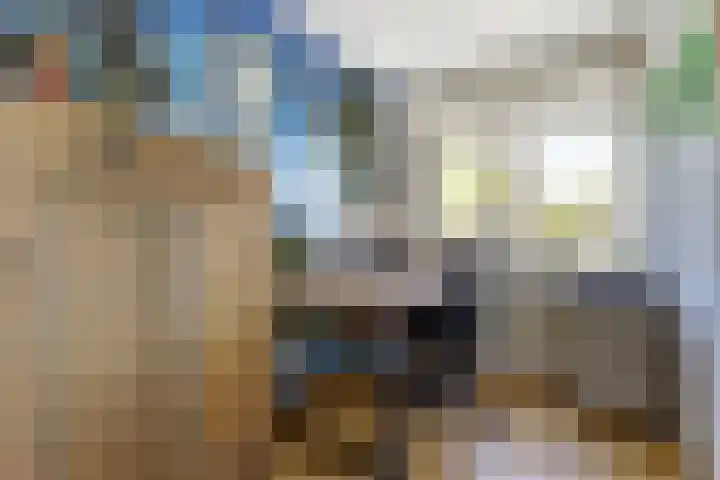 De Driesten 9 Ermelo thumbnail 25