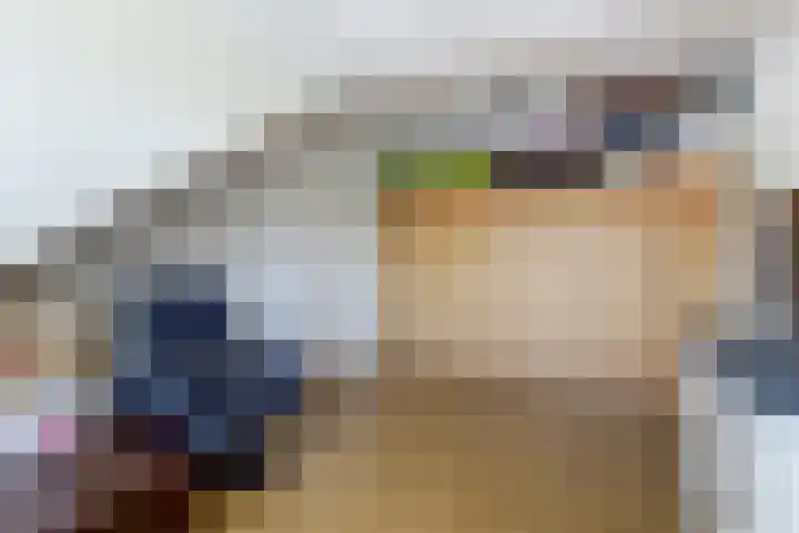 De Driesten 9 Ermelo thumbnail 36