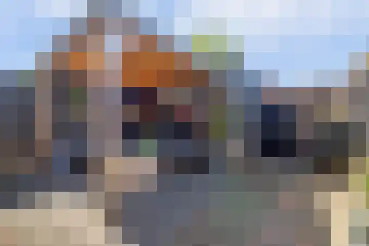 De Driesten 9 Ermelo thumbnail 40