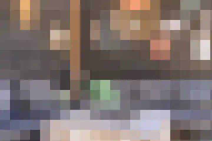 De Driesten 9 Ermelo thumbnail 42