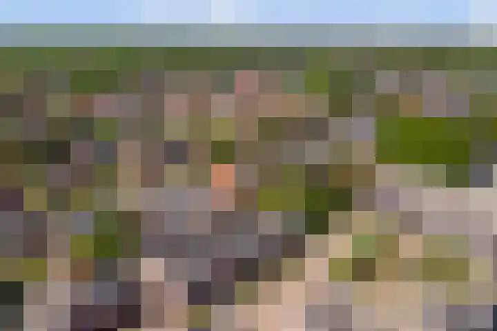 De Driesten 9 Ermelo thumbnail 49