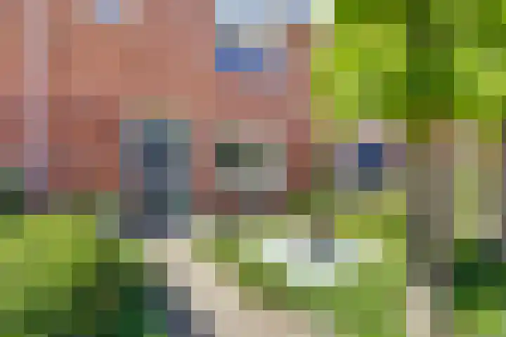 De Driesten 9 Ermelo thumbnail 5