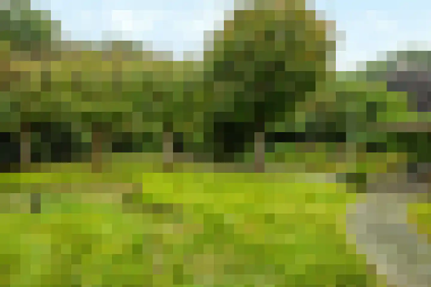 De Drift 128 Hoogeveen thumbnail 64