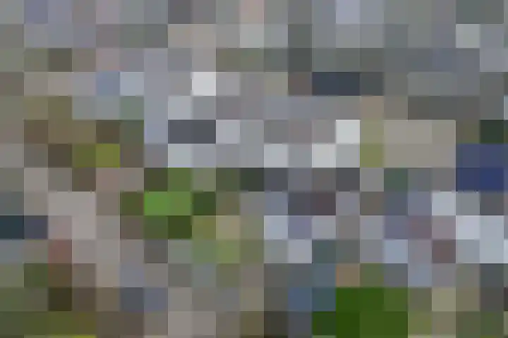 De Drift 26 Bolsward thumbnail 34