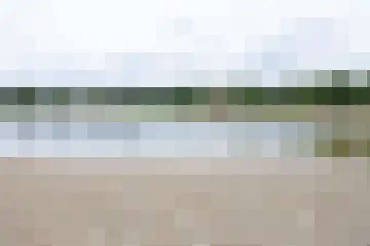 De Drift 3 315 Borger thumbnail 36