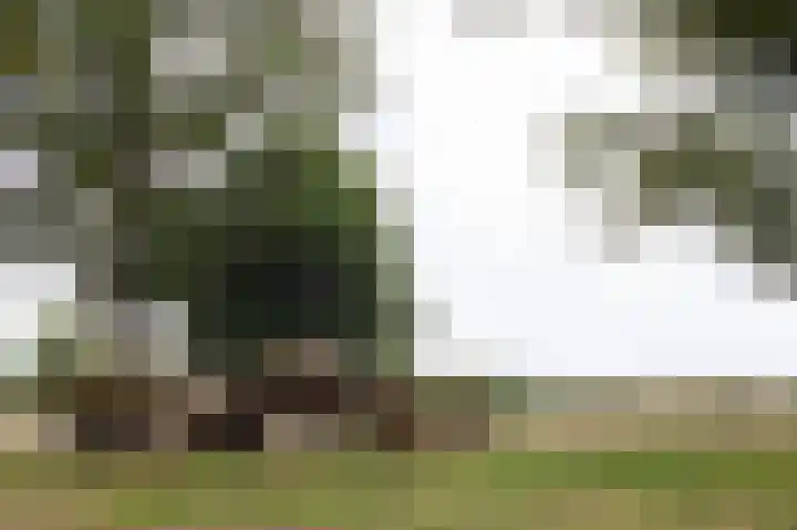 De Drift 3 315 Borger thumbnail 41