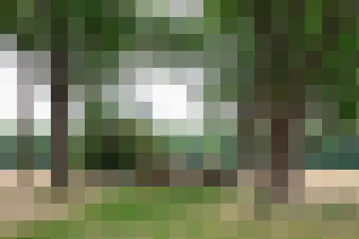 De Drift 3 315 Borger thumbnail 42