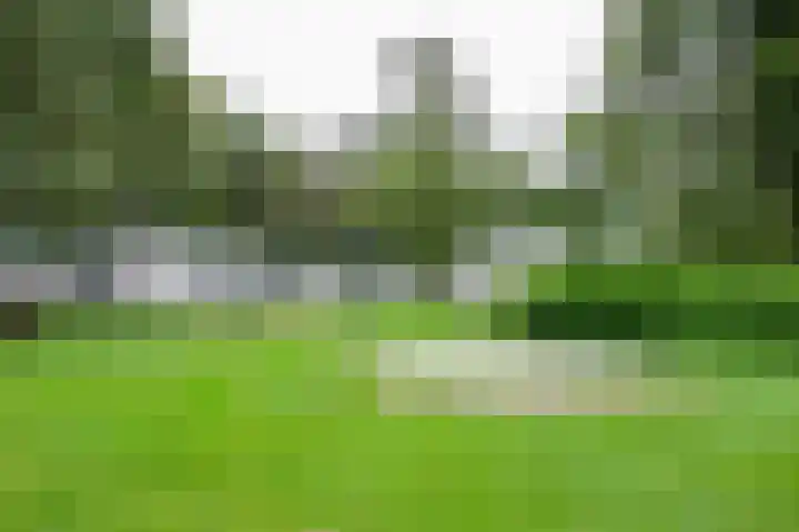 De Drift 3 315 Borger thumbnail 5