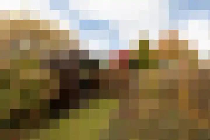 De Drift 32 Bolsward thumbnail 30