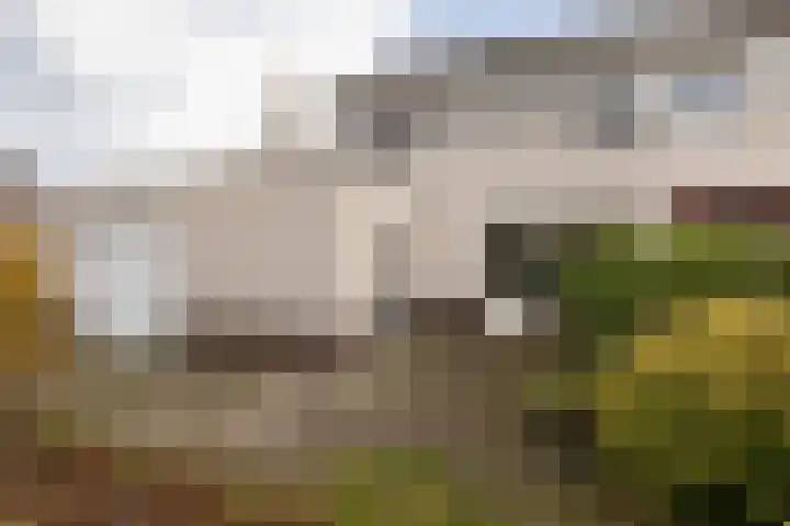 De Drift 32 Bolsward thumbnail 32