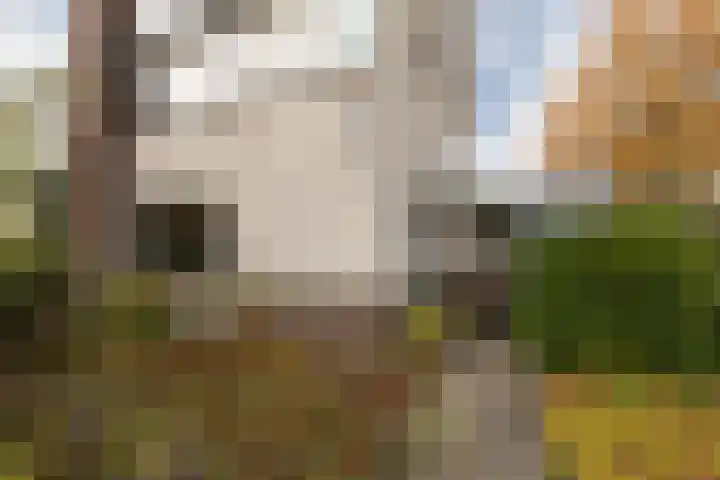De Drift 32 Bolsward thumbnail 33