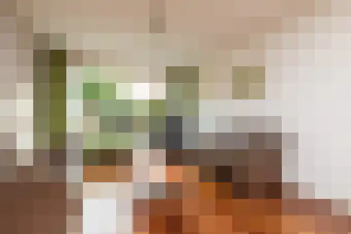 De Drift 32 Bolsward thumbnail 5