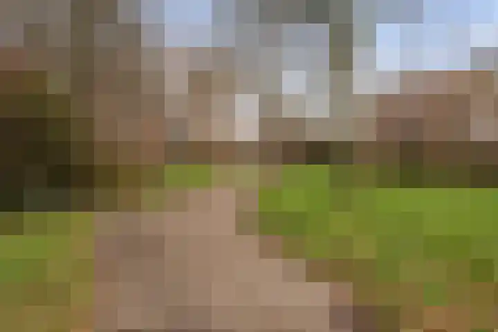 De Drift 5 Hoogeveen thumbnail 53
