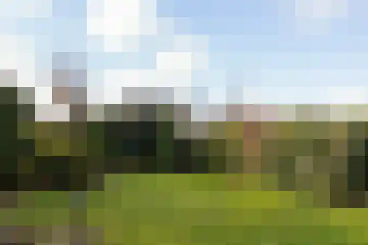 De Drift 54 Hoogeveen thumbnail 37
