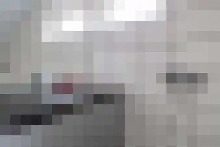 De Drift 9 A Hooghalen thumbnail 27