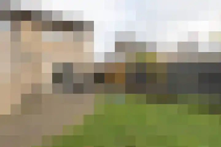 De Drift 9 A Hooghalen thumbnail 28