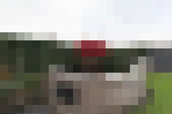 De Drift 9 A Hooghalen thumbnail 30