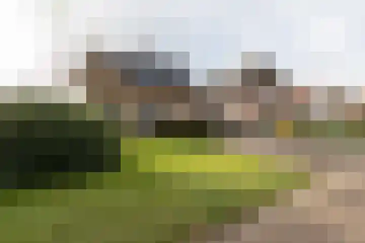 De Drift 9 A Hooghalen thumbnail 4