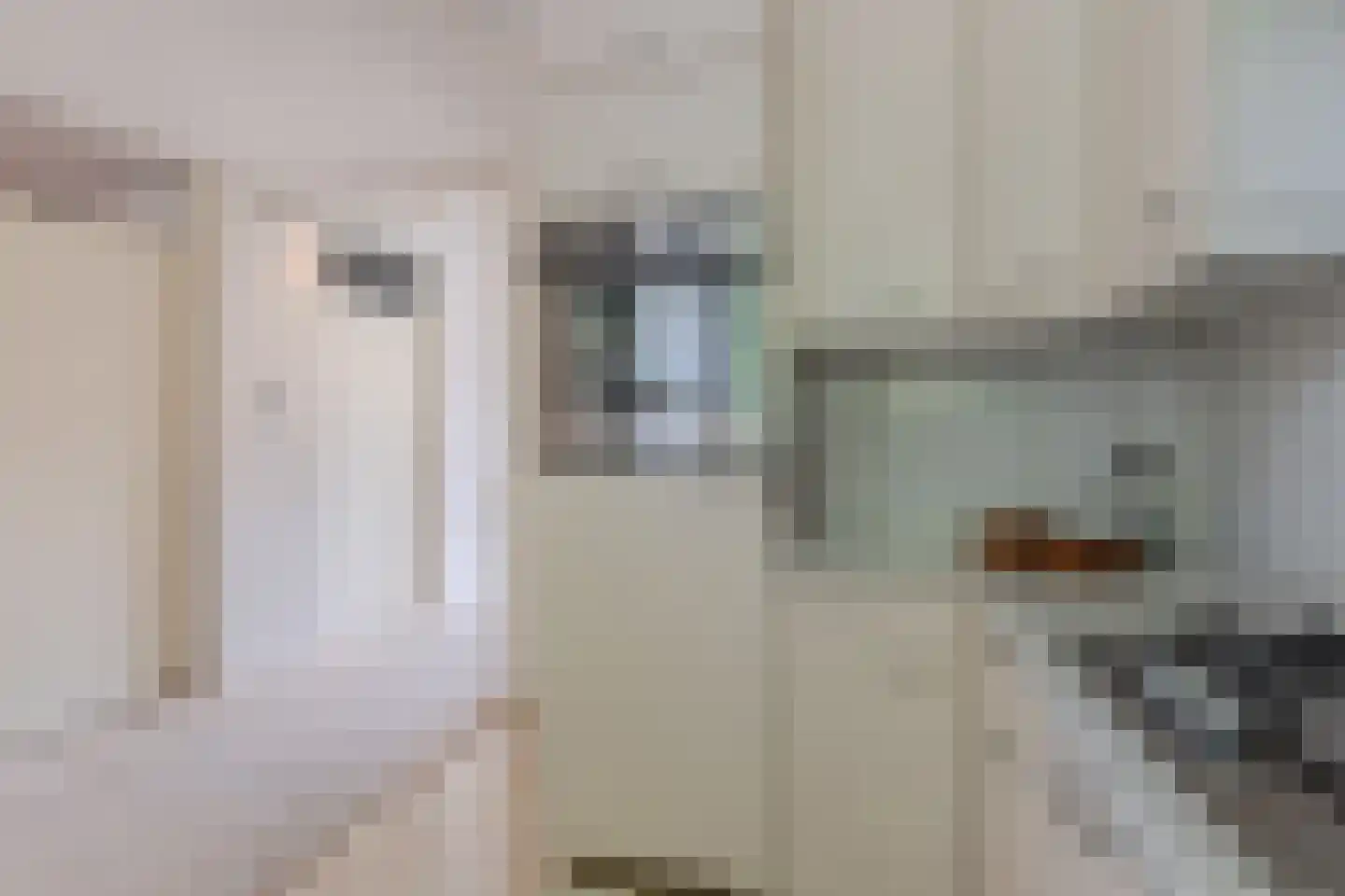 De Drifter 9 Huizen thumbnail 18