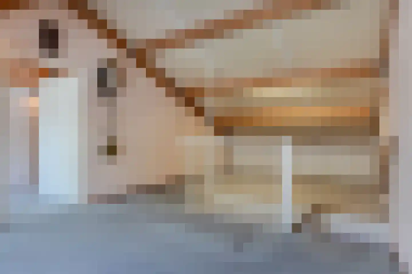 De Drifter 9 Huizen thumbnail 24
