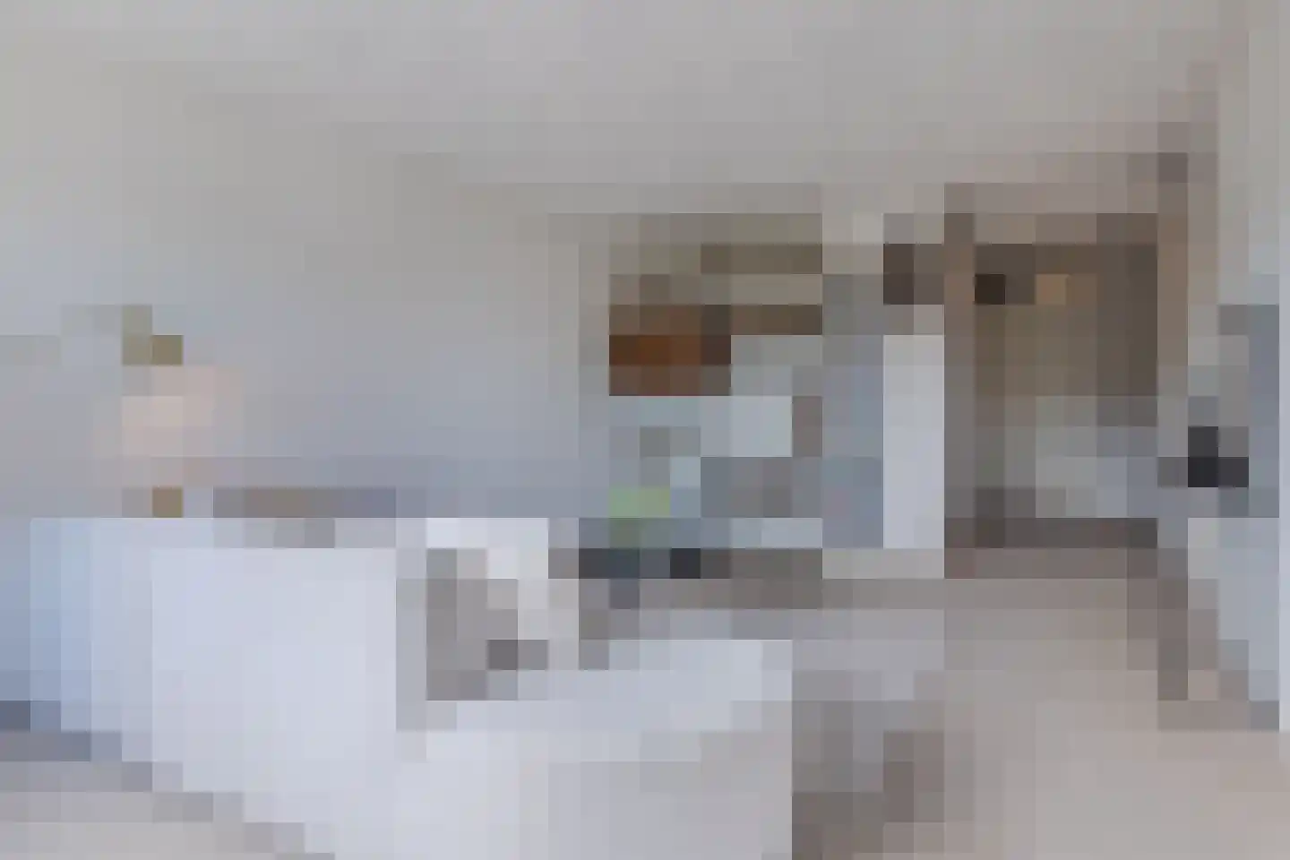 De Drifter 9 Huizen thumbnail 9