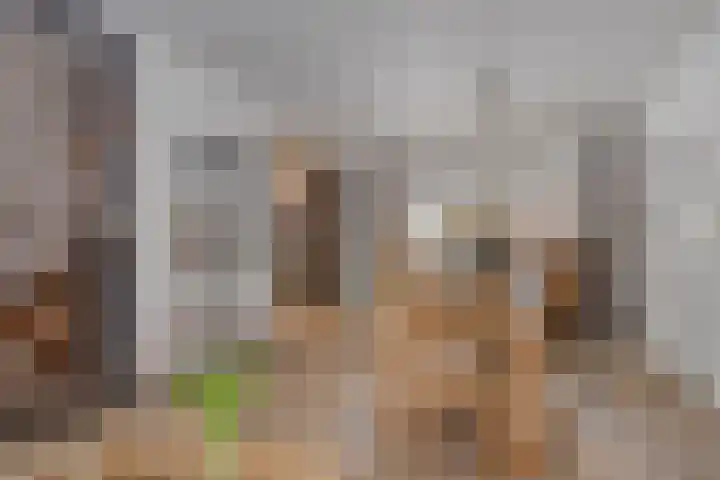 De Drink 5 Horst thumbnail 11