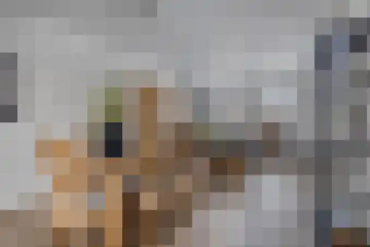 De Drink 5 Horst thumbnail 12