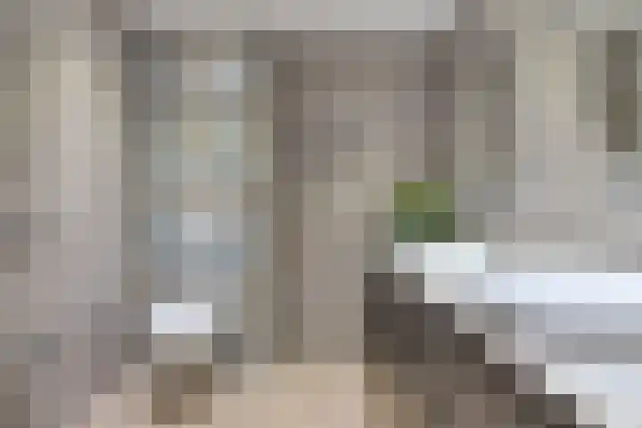 De Drink 5 Horst thumbnail 26