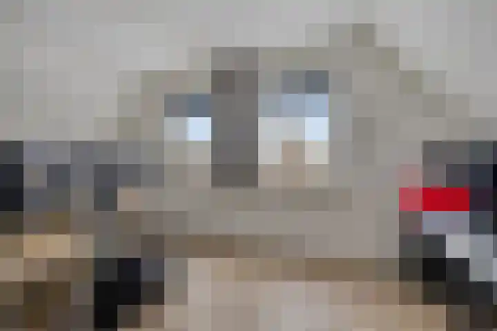 De Drink 5 Horst thumbnail 30