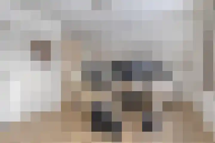 De Drink 5 Horst thumbnail 31
