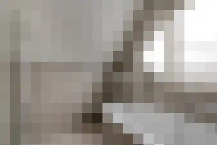 De Drink 5 Horst thumbnail 36