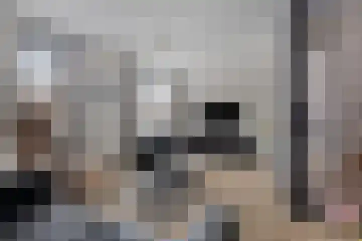 De Drink 5 Horst thumbnail 7