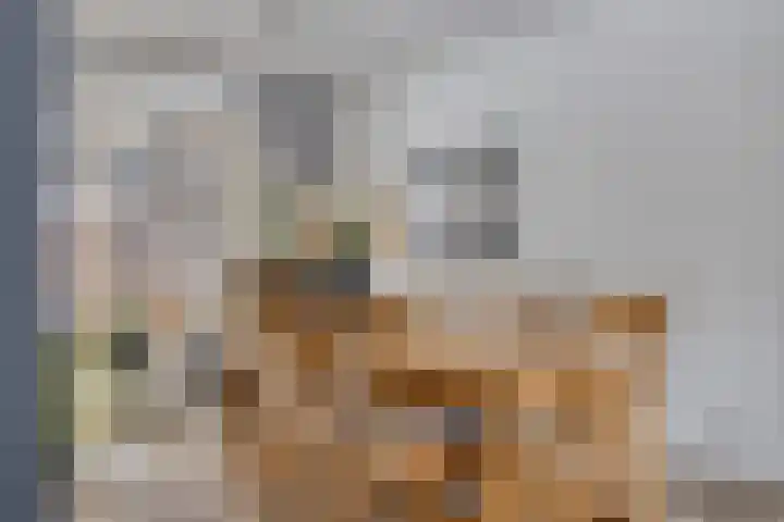 De Drink 5 Horst thumbnail 9