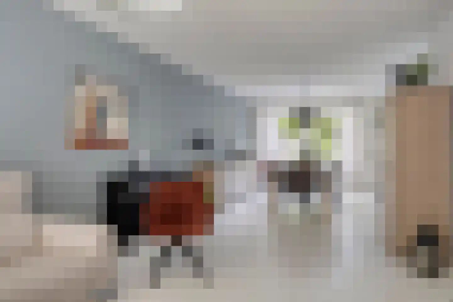 De Droge Kreek 13 Hulst thumbnail 10
