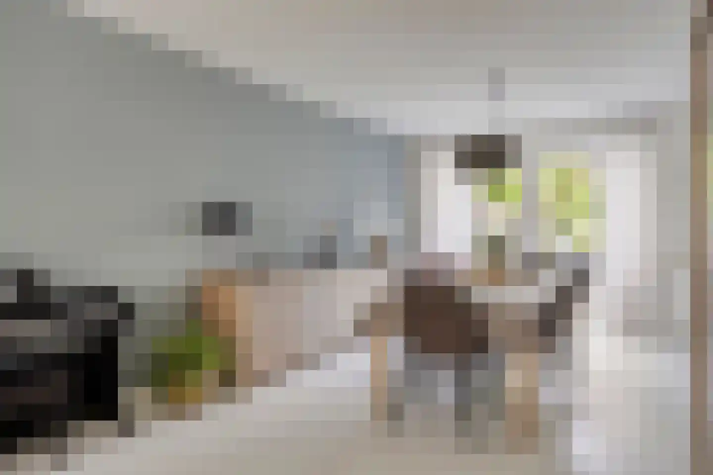 De Droge Kreek 13 Hulst thumbnail 11